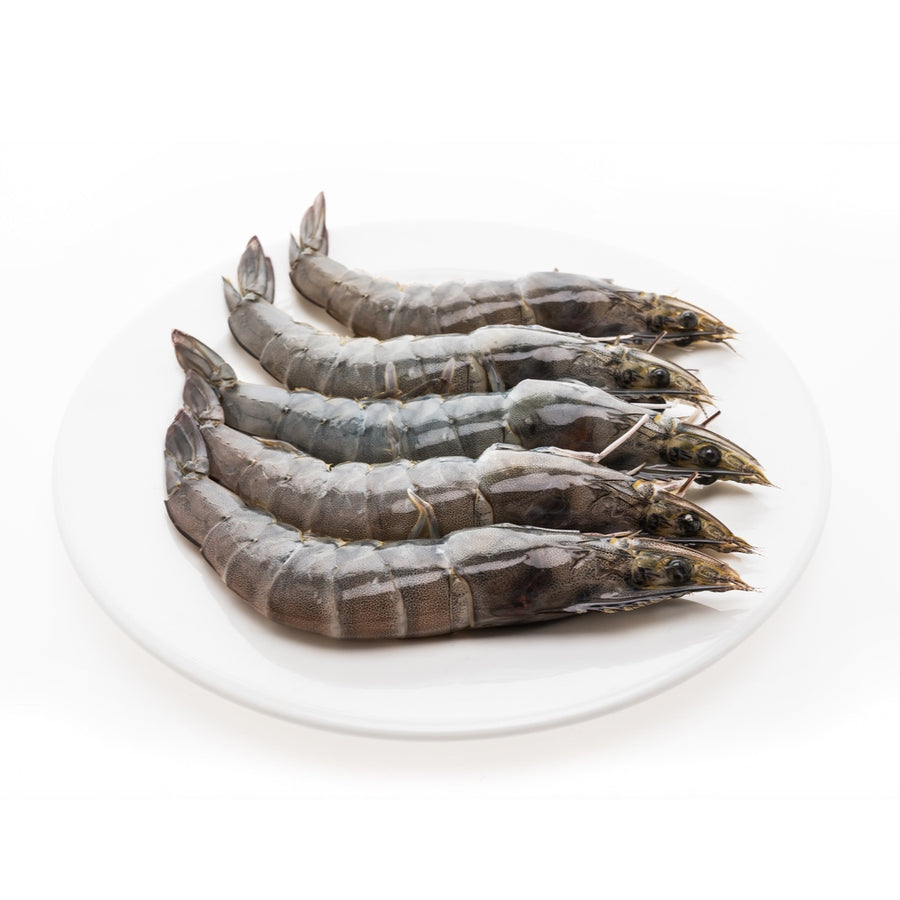 Prawn King Fresh 1 kg size U10