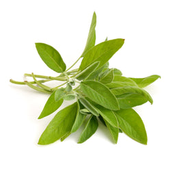 Sage 50 gr