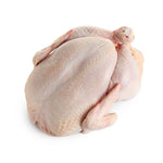 Turkey Whole Frozen 5Kg