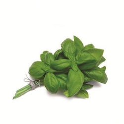 Basil Italian 50 gr