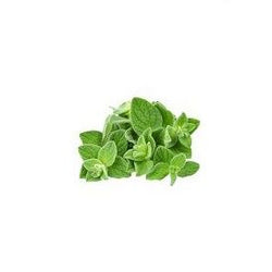 Oregano 50 gr