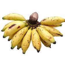 Banana Lady Finger Big Size (Pisang Susu)