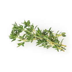 Thyme 100 gr