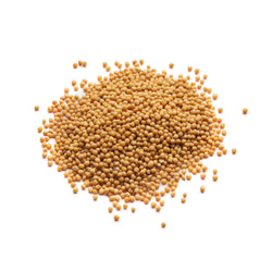 Seeds Mustard Yellow 250 gr