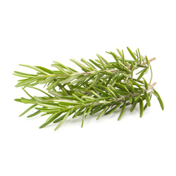 Rosemary 50 gr